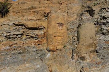 Pesquisa descobre floresta fossilizada de 290 milhões de anos no Paraná